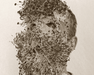 MASSAT | COLLECTIF SUR LA BRANCHE • VERNISSAGE + CONCERT